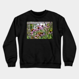 Echinacea flowers Crewneck Sweatshirt